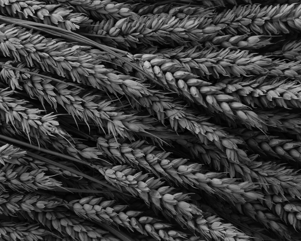 Trade commodities